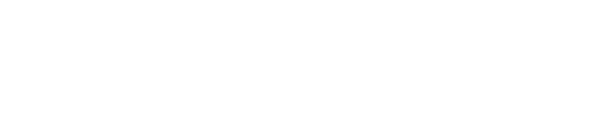 SwiftForce Electronic Technology Co., Ltd. logo