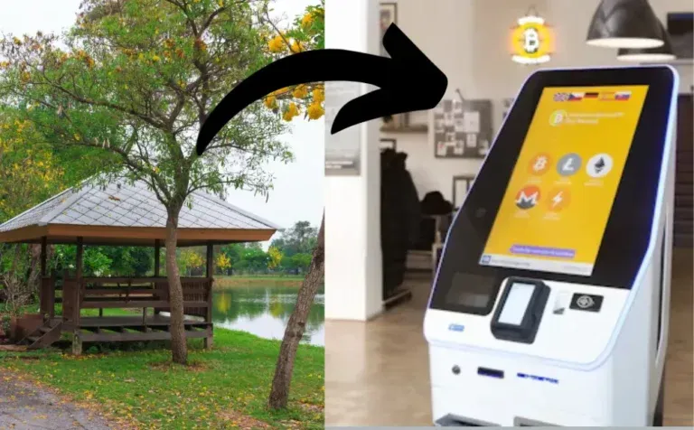 What Is a Kiosk Machine